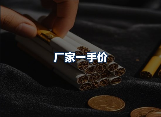 专业团队办公环境